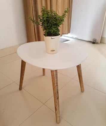 Oval Wood Coffee Table Storage and Display Sofa Table, Small Modern Table Furniture for Living Room&Home Office (White)