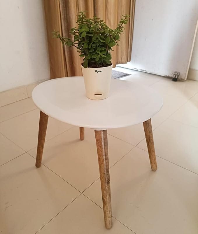 Oval Wood Coffee Table Storage and Display Sofa Table, Small Modern Table Furniture for Living Room&Home Office (White)