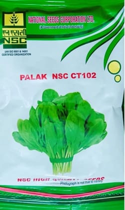 NSC Palak Seeds CT102 - High Quality Spinach for Home & Farm