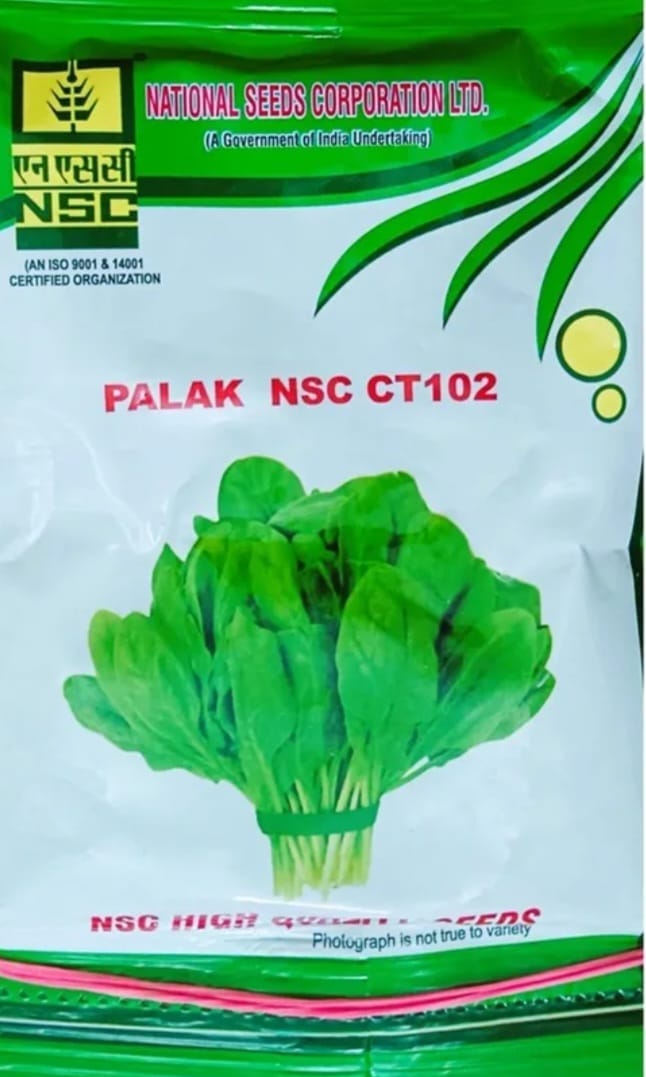 NSC Palak Seeds CT102 - High Quality Spinach for Home & Farm