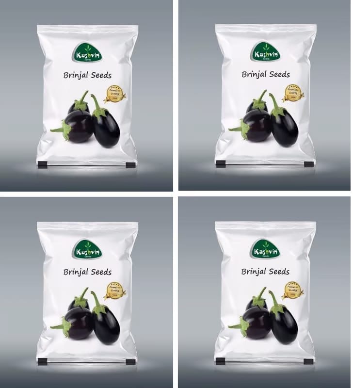 Brinjal Round Seeds | 4 Packet