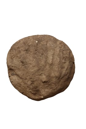 Pure Organic Cow Dung Cake (Gobar Kanda) for Pooja, Fuel & Natural Fertilizer Pure Organic Cow Dung Cake (Gobar Kanda) for Pooja, Fuel & Natural Fertilizer