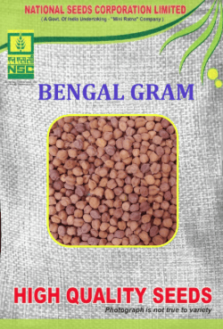 NSC Bengal Gram JG-11 TL Seeds – 10 KG