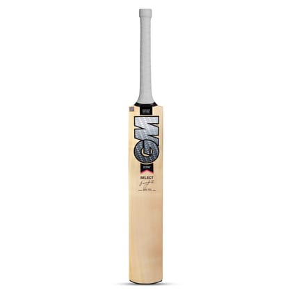 TEKNAXO | GM Icon F2 Select Kashmir Willow Cricket Bat, Short Handle