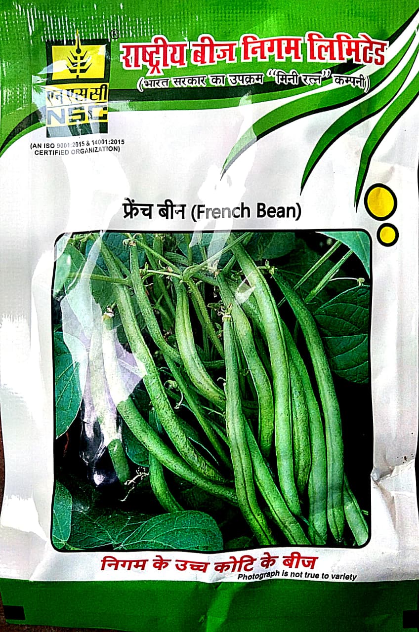 NSC French bean (Variety AK)