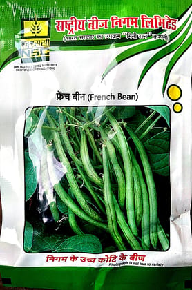 NSC French bean (variety Contender)