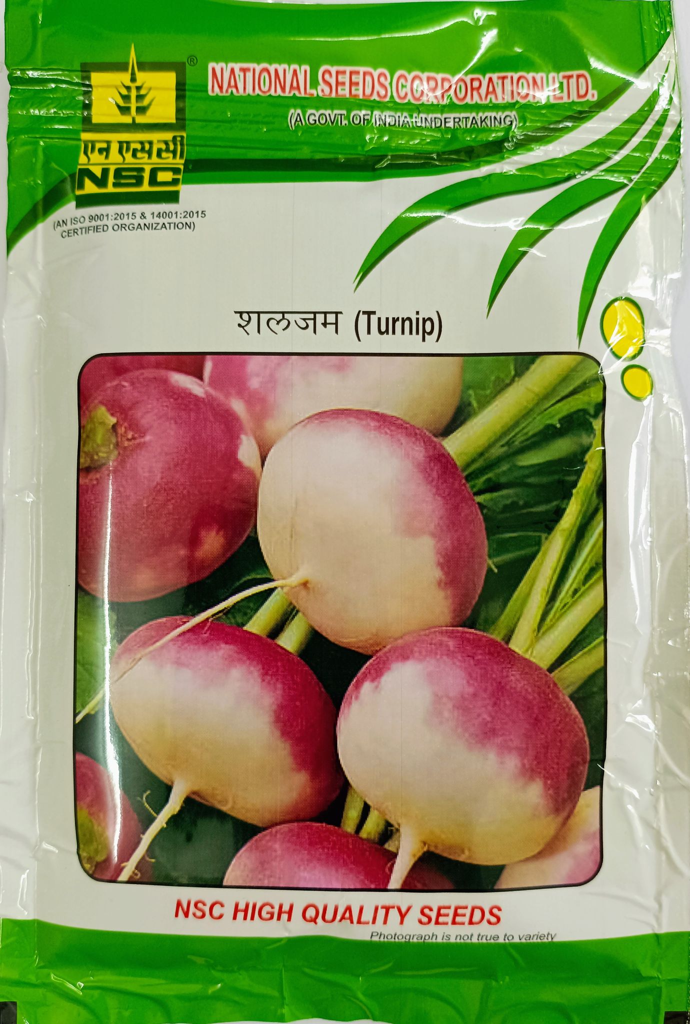 Turnip  PTWG