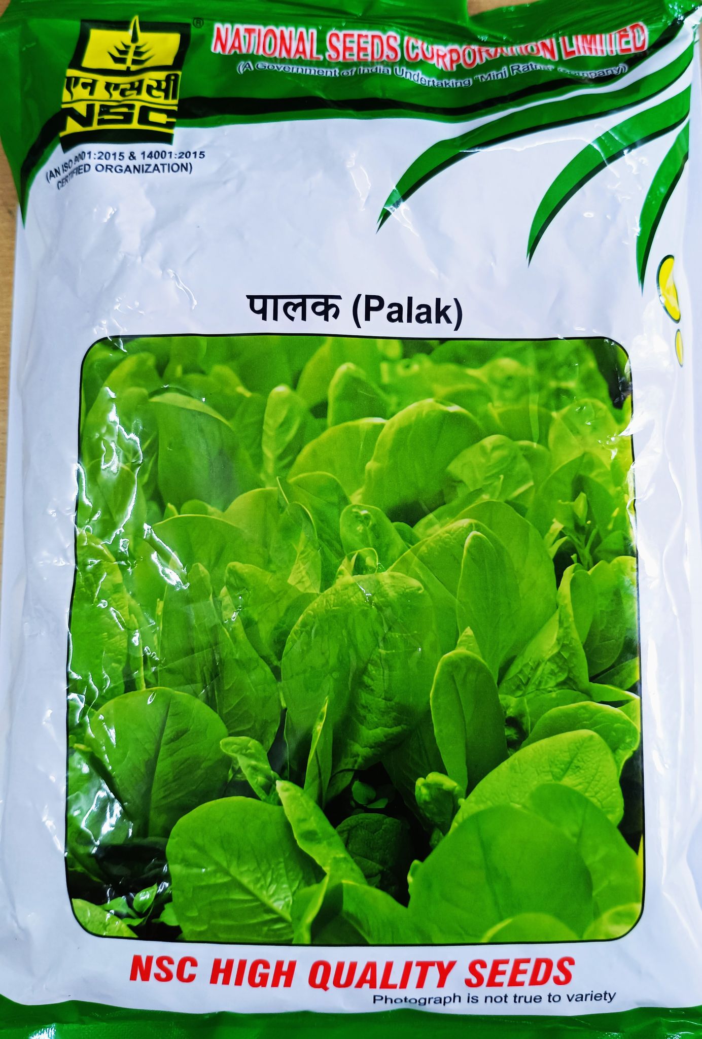 Palak (Spinach) All Green