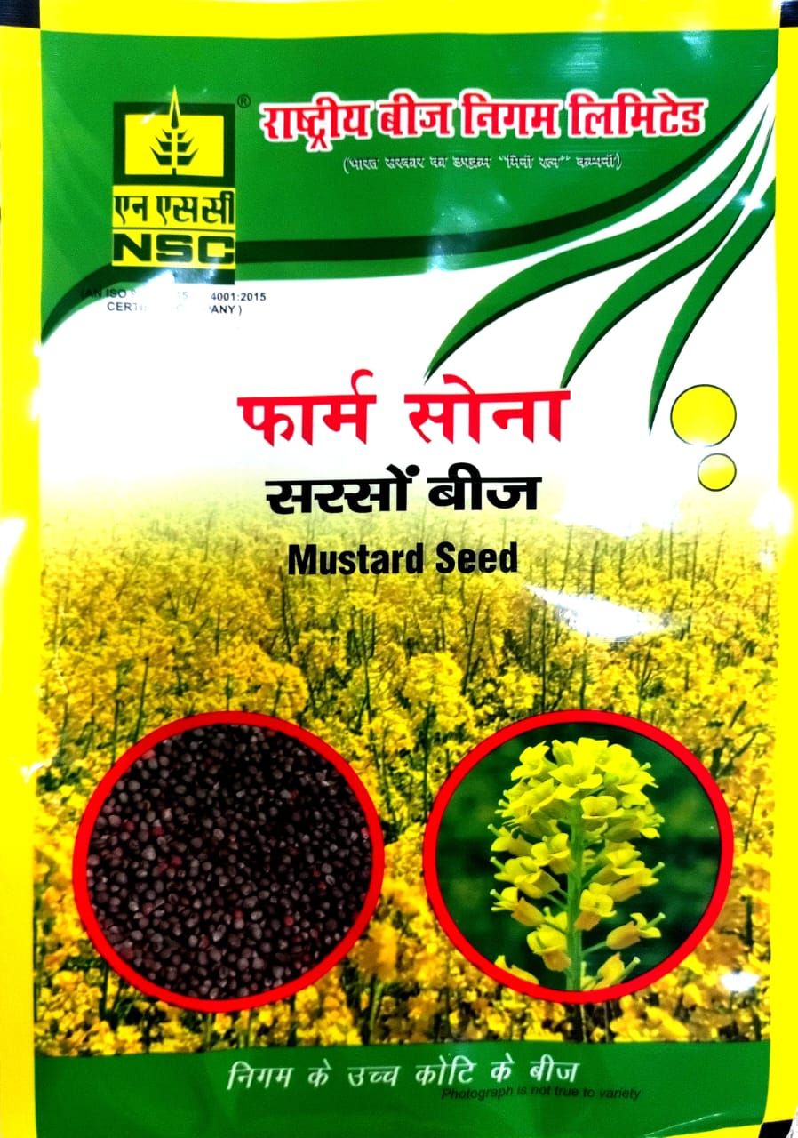 NSC FARM SONA MUSTARD SEED- RH 725-1 Kg