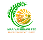 MAA VAISHNAVI FED PRODUCER COMPANY LIMITED