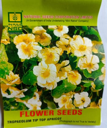 NSC Tropaeolum Tip Top Apricot Flower Seeds for Garden