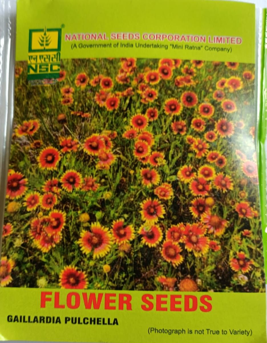 Gaillardia Pulchella Flower Seeds by National Seeds Corporation Limited