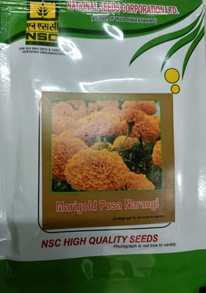 NSC Marigold Pusa Narangi High Quality Flower Seeds for Garden