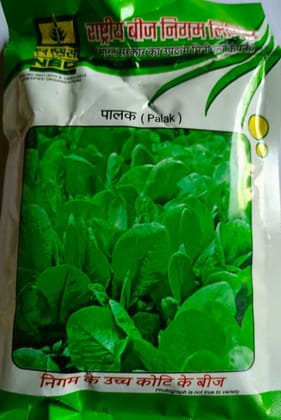 NSC Palak (Spinach) Seeds - High Quality for Bountiful Harvest