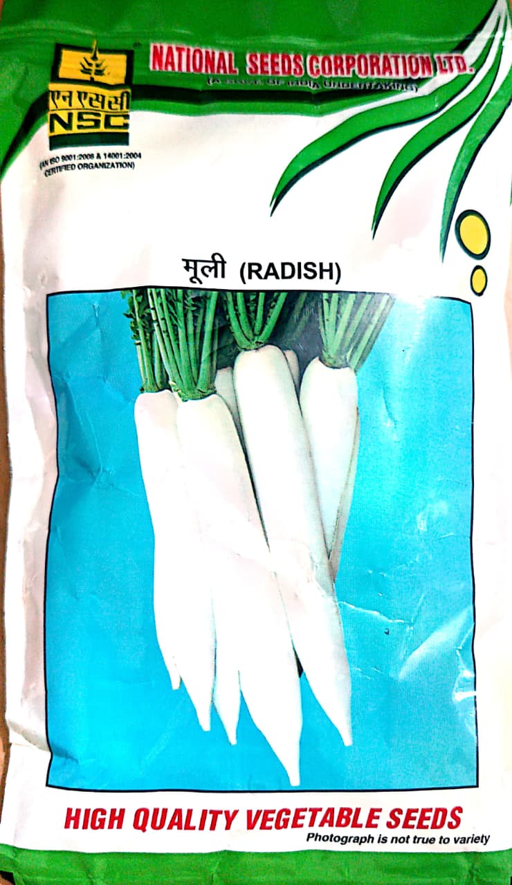 NSC High Quality Radish (Mooli) Kashi Mooli-40 Vegetable Seeds for Home Gardening 250 gm T/L