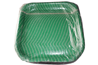 Green Disposable Square Plates with Leaf Design