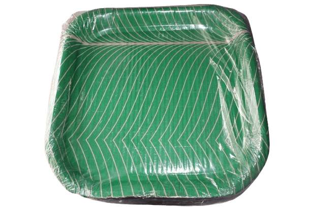 Green Disposable Square Plates with Leaf Design