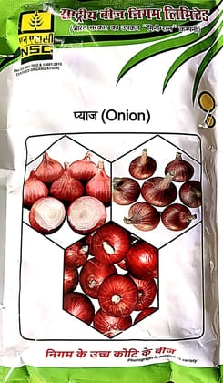 NSC ONION Seeds(variety: BHIMA SHAKTI)
