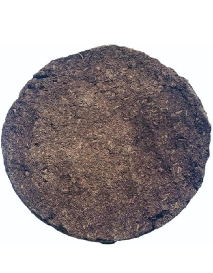 Organic Cow Dung Cakes for Puja, Fertilizer & Fuel (Pack of 10)