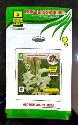 Tuberose Bulbs- Bidhan Shika