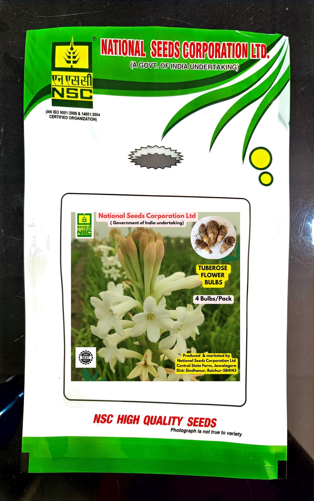 Tuberose Bulbs- Bidhan Shika