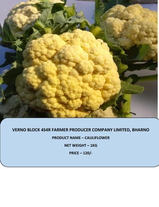 Fresh Cauliflower - 1KG Farm-Sourced