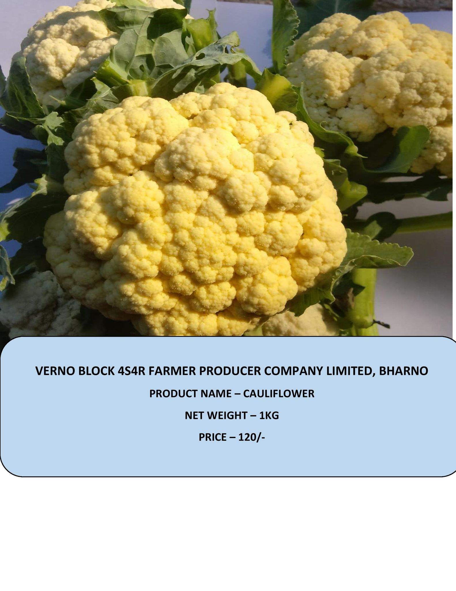 Fresh Cauliflower - 1KG Farm-Sourced