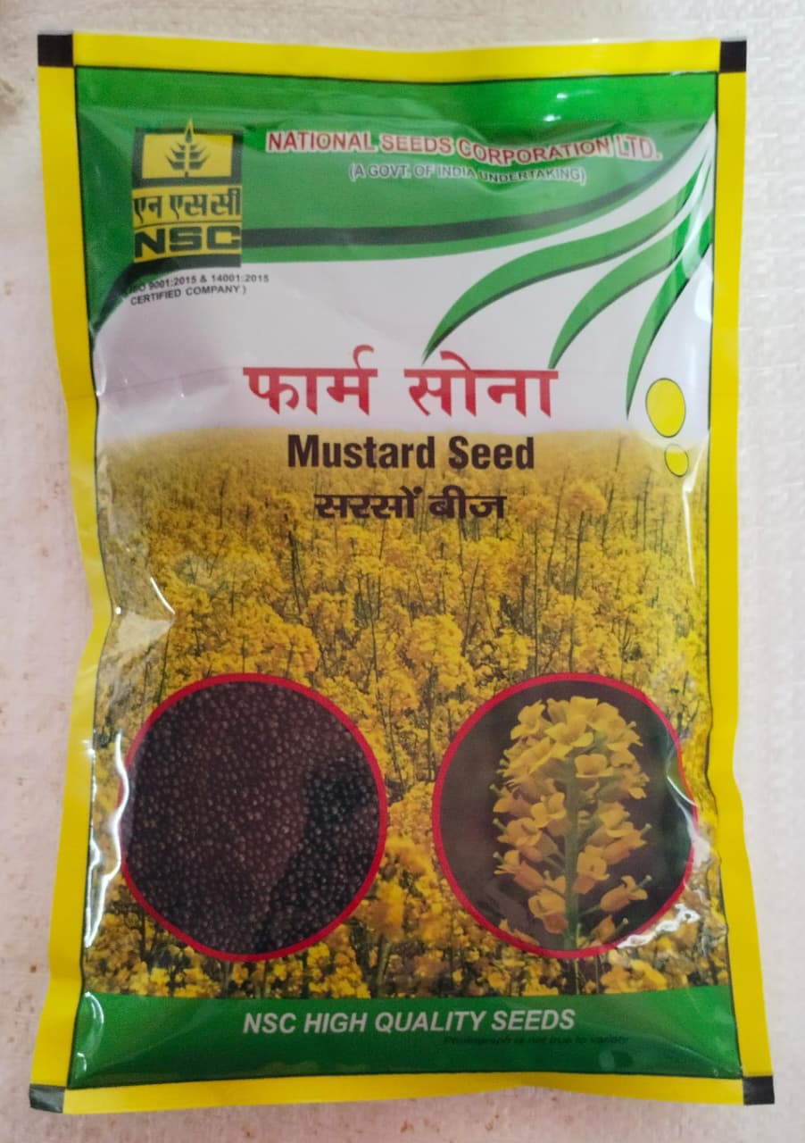 NSC MUSTARD / RH-761 / 1 Kg /TL Seeds