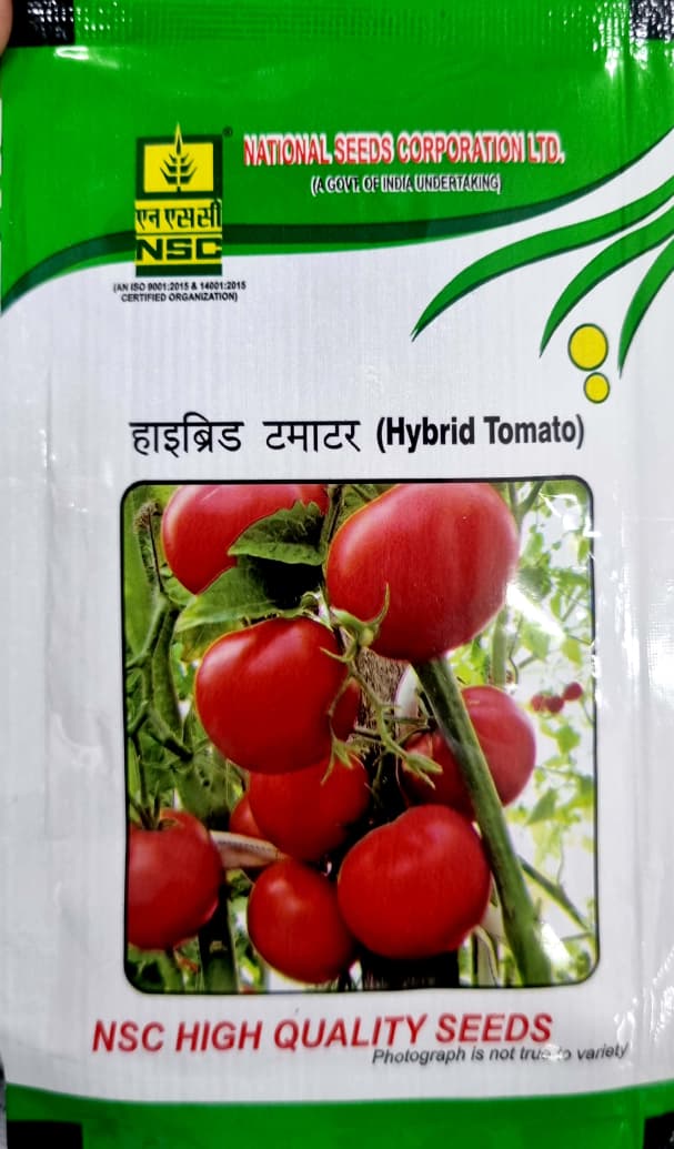 NSC HYBRID TOMATO SEEDS - ARKA SAMRAT - 1O GMS POUCH