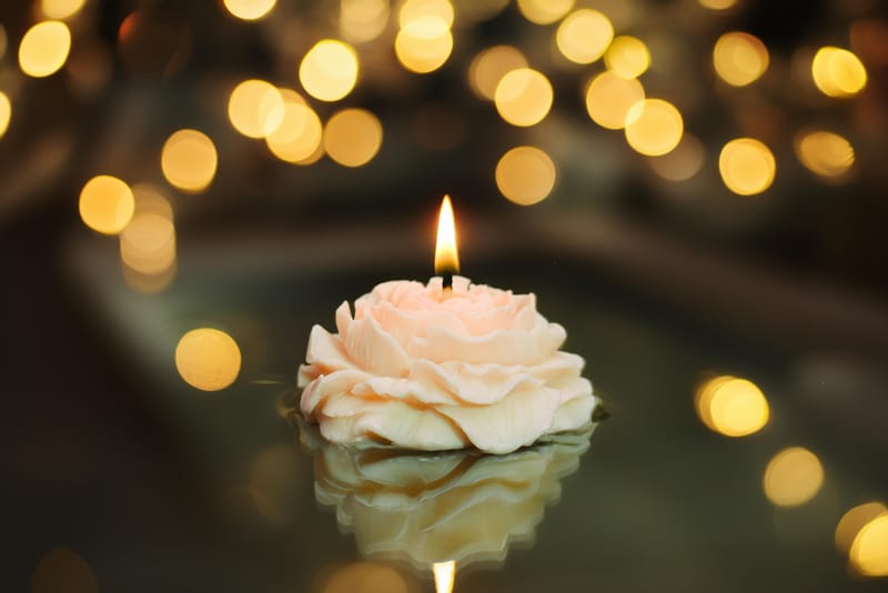 ... ...