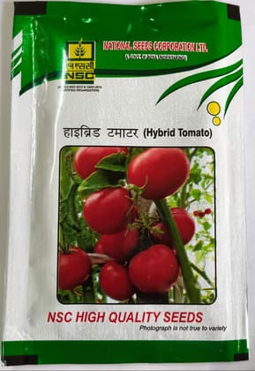 NSC HYBRID TOMATO - ARKA SAMRAT 10 g