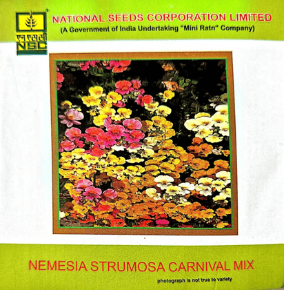 NSC Nemesia Strumosa Carnival mix-3 gms