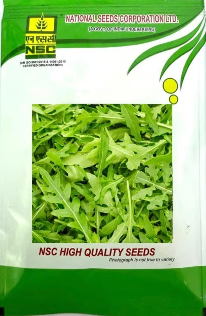 NSC Rocket Leaf Salad 100 gms