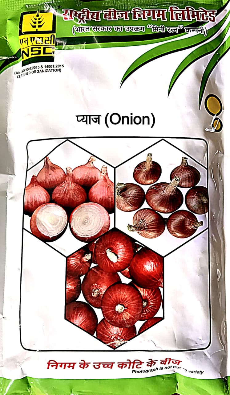 NSC Onion Seeds(Variety: BHIMA SHAKTI)