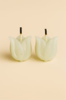 Light Green Tulip Shaped Decorative Wax Candles (Set of 2) Light Green Tulip Shaped Decorative Wax Candles (Set of 2)