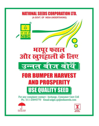 Ragi Seeds ( KMR-316 Variety)