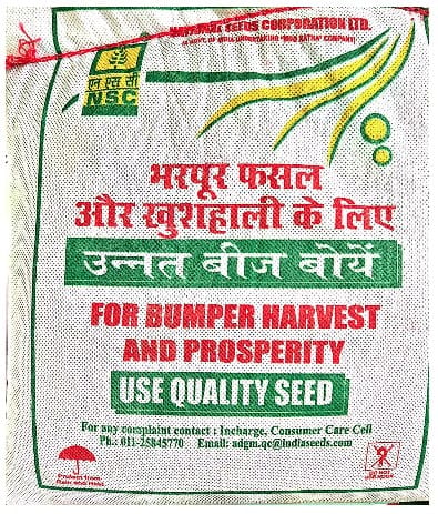 NSC Mustard RH-761 CS 2 Kgs