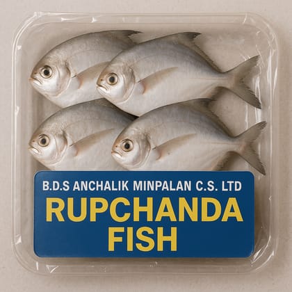 Fresh Silver Pomfret Fish Whole - Premium Seafood