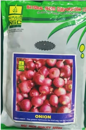 NSC ONION-AFDR, 100 Grams, 