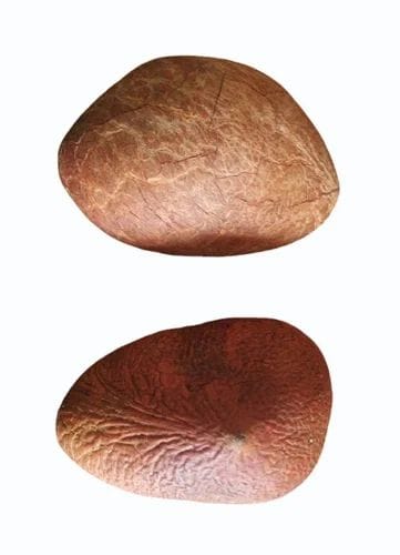 Dry Coconut, Copra, Sukha Nariyal, Khopra, Desiccated Coconut 1kg