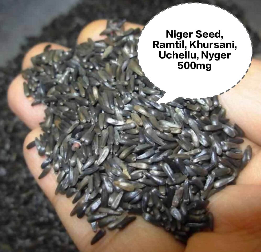 Niger Seed, Ramtil, Khursani, Uchellu, Nyger 500mg