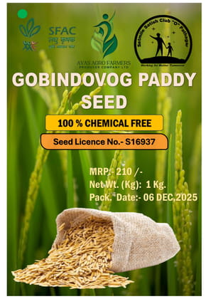 Gobindabhog Paddy Seed