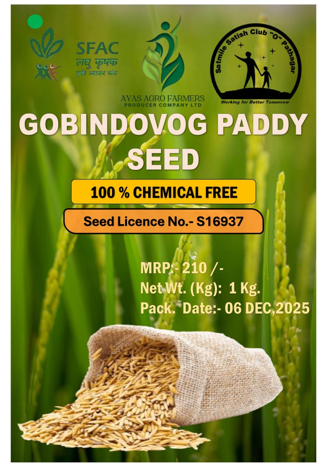 Gobindabhog Paddy Seed
