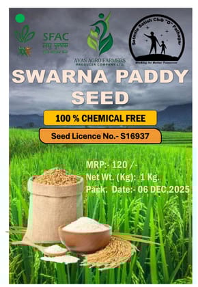 Swarna Paddy Seed