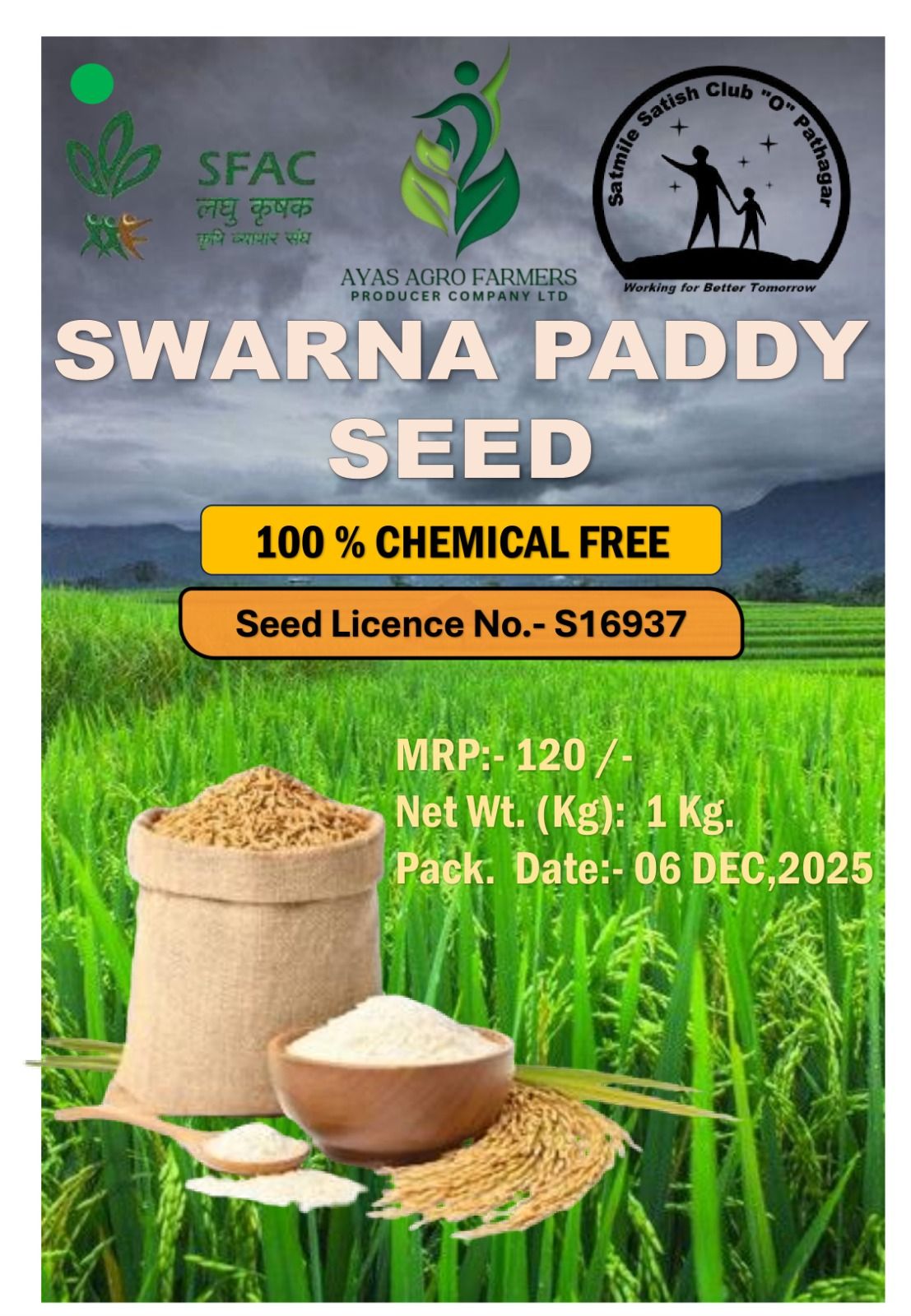 Swarna Paddy Seed
