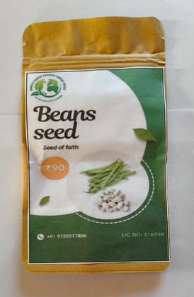 Bean Seed