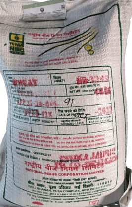 NSC WHEAT VARIETY PUSA WHEAT-3249 CERTIFIED SEED 40 KG BAG NSC WHEAT VARIETY PUSA WHEAT-3249 CERTIFIED SEED 40 KG BAG