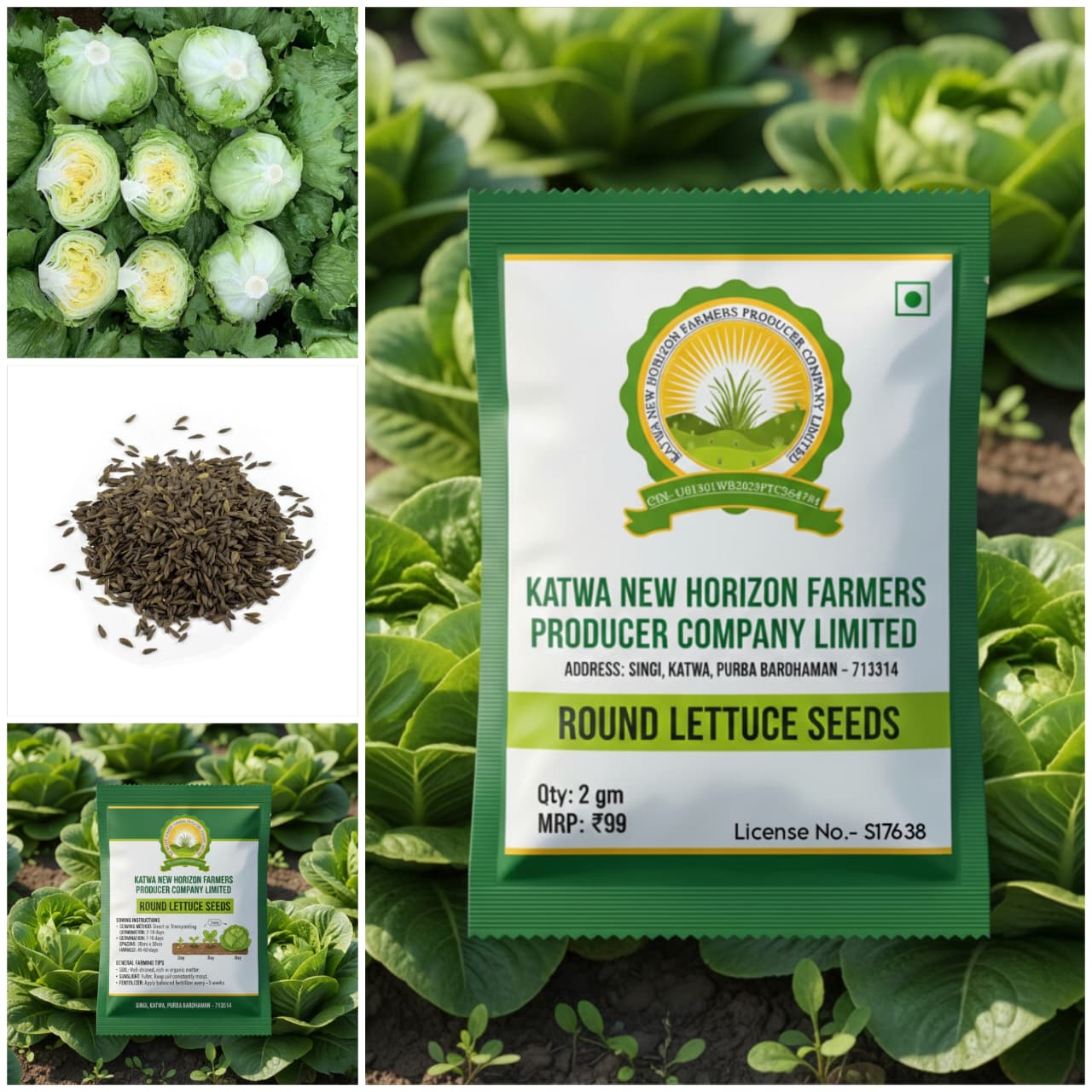 Round lettuce seed