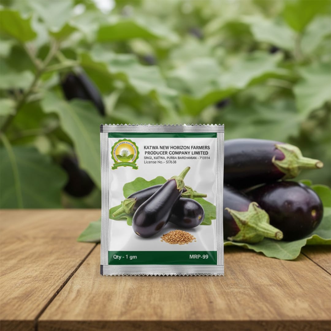 Brinjal (Eggplant)&nbsp;Seeds