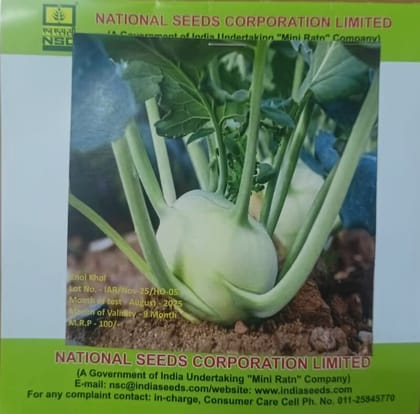 NSC Knol Khol, White Vieena Exotic Vegetable 